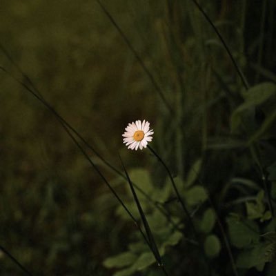 DrRahafHamad's profile picture. Medical Intern • Proactive • Self- Motivated • Aspiring Otolaryngologist • Research & Innovation Enthusiast.