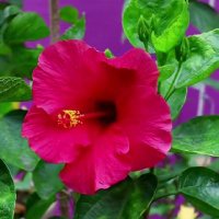 عدنان (@dnn16943) 's Twitter Profile