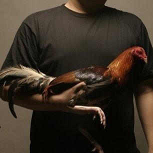 Ja_Ke010's profile picture. 👷‍♂️🏗🌁🛣
for porn viewing purposes...