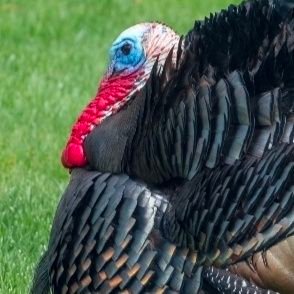 Thisisluke2's profile picture. I'm 18