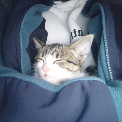 xxxDkDxxx's profile picture. .