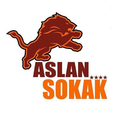 aslansokakk's profile picture. 🦁 Galatasaray’ı bizimle takip edin. @cimbomforzatr