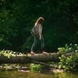 Brohou5569846's profile picture. 