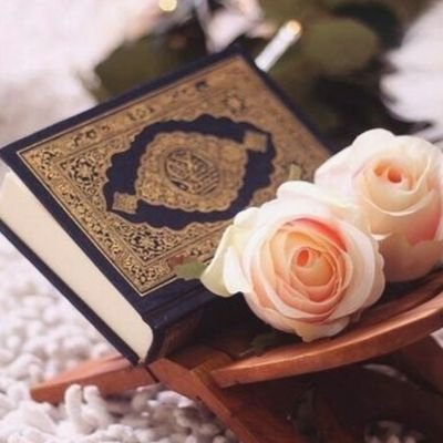 Hrfah17755's profile picture. 