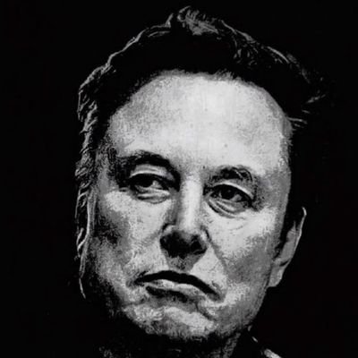 priv_chat_emusk's profile picture. I created this account because some of our fans who have been trying to ask us questions