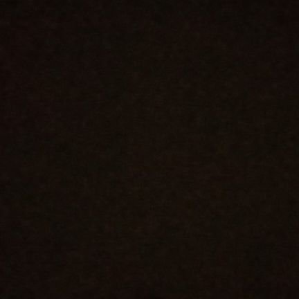 cattacoll's profile picture. 