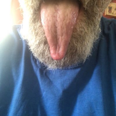 Jim5zv's profile picture. 