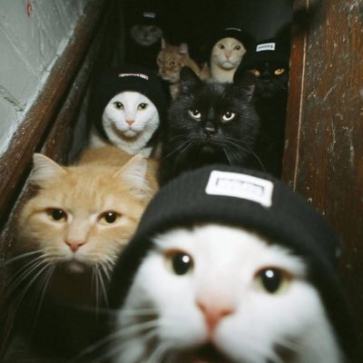 Envious_Rebel85's profile picture. 📚7/50📚🎃Halloween Queen 🎃🖤 Horror Movies 🕸️ skulls 💀 and Dead Things 🕸️🖤 #booktwt 😤 ••• — • — — • — — *STAY