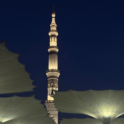 ummsudais2's profile picture. 