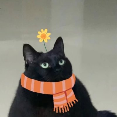 ddubiddubu's profile picture. 