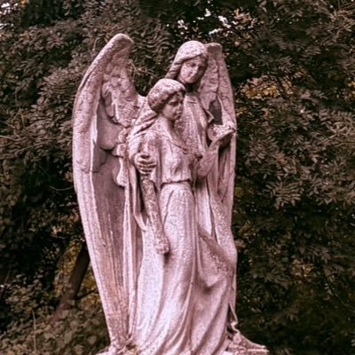 4light4life's profile picture. music football mma