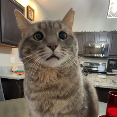 aekc_'s profile picture. I am a genius.