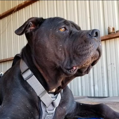 GrayMan1972's profile picture. 