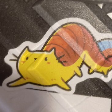 SCat927362's profile picture. 