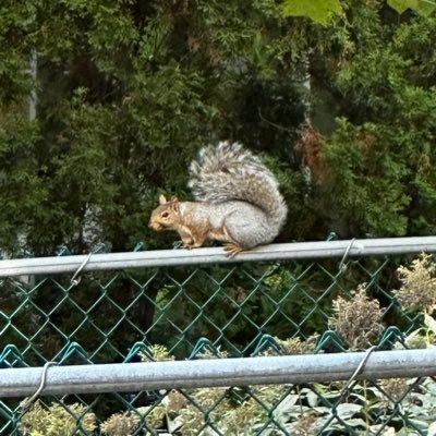 wgathu's profile picture. #MultiMediaJournalist #Editor Speaks about #HumanRights #Justice #Diversity #Equity #Inclusion. https://t.co/8NEPI3N4QC