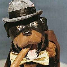 jochabar's profile picture. It mainly comes down to common sense. Trust the science.  IU Grad 🏀🏈