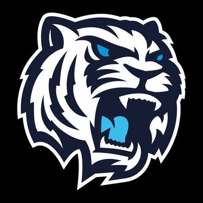 opocenskyv's profile picture. 