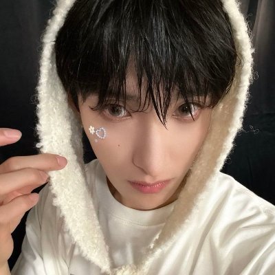 seokcheolholic's profile picture. 25+ seokcheol truther
