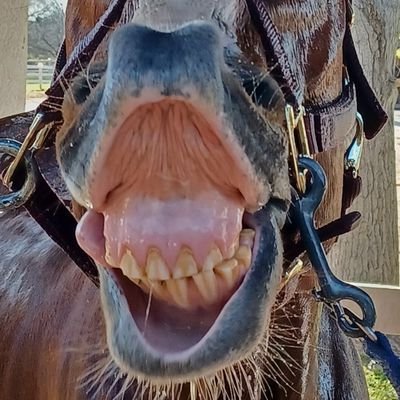 BabaBooey520201's profile picture. what up X I have passion for photography and would love to work with any models in southern Arizona! hmu and let's flood with some hot photos.