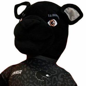 fan1domolodoy's profile picture. perfil oficial para dar pitaco merda em qualquer assunto