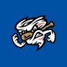 OMAStormChasers's profile picture. Proud Triple-A affiliate of the Kansas City @Royals since 1969. 8-time league champs. Making memories at @WernerPark. Part of the @DiamondBaseball family.