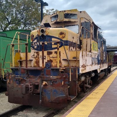 97CobraRacingYT's profile picture. Besties: @Avababystar, @SkyeMightyOfc
Sisters: @smallscalefox
Brothers: @Stephanpichler2