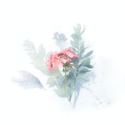 corredesi1978's profile picture. 22、ひま