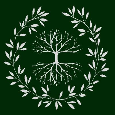 LifeologyEdu's profile picture. 