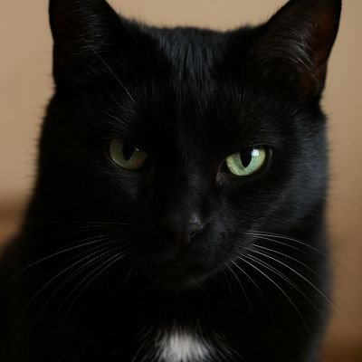 Lyyyinnny's profile picture. Need Caleb to take care of me 😺