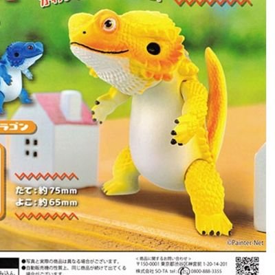 DXbai1008's profile picture. 