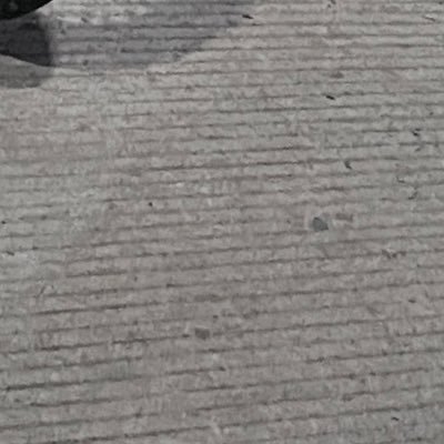 alhamduila's profile picture. Brunrd