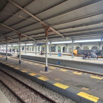 fauzanhf's profile picture. among medicine, linguistic, and music