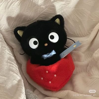 woo_yx0n's profile picture. 