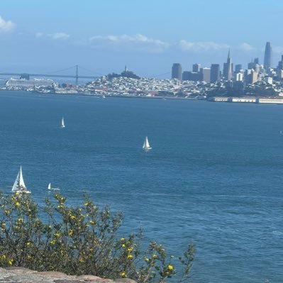 murat415902's profile picture. 