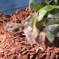 ARose🌹💕 (@arose2023) 's Twitter Profile