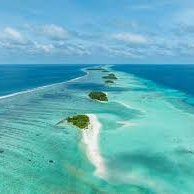 indrajitmc6's profile picture. 