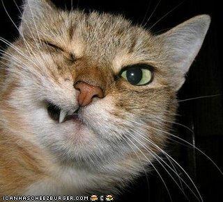 korryd's profile picture. 