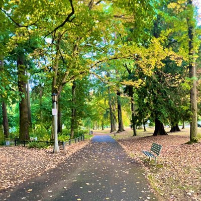 Hassanpdxer's profile picture. living in whitelandia