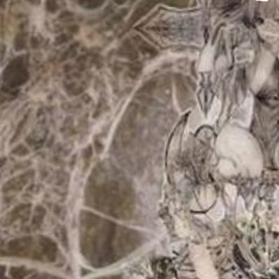 GMUTELL's profile picture. 