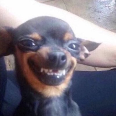 SonOfAMuppet's profile picture. fan account. semi-hag. zb1 evnee. semi IA noirbebe. See me in 2025.

My balls on the floor.