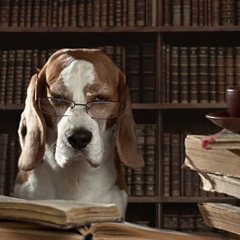 JUCECA72's profile picture. Abogado, Director Gral. Casani Group. Deus, Familia et opus. #YoSoyAspaen.