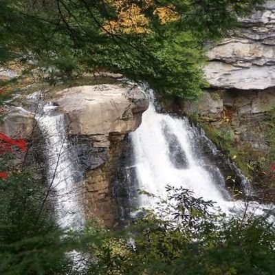 SenshiPrincess's profile picture. 