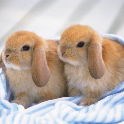 Riyaz25984667's profile picture. Likes food, loves sports, is a beginner in golf, and a COVID-19 survivor