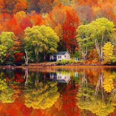 Dehati_modern's profile picture. 