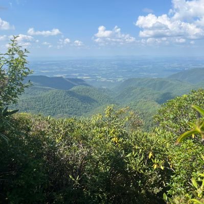 JDizzlestein's profile picture. Enjoy every sandwich