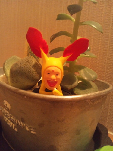 サーフィンが好きっちゃー！