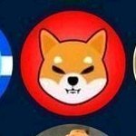 EveMatra's profile picture. এ মর্মে আল্লাহ তা’আলার বানীঃ 

“বলে দিন, আমার প্রতিপালক তোমাদের একটুও পরোয়া করবেন না যদি তোমরা ‘ইবাদাত না কর”- 

(সূরাহ্‌ আল-ফুরক্বান ২৫/৭৭)