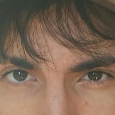 paldocarioca's profile picture. 