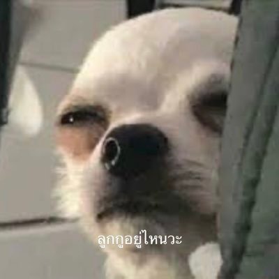 ampamp33's profile picture. 