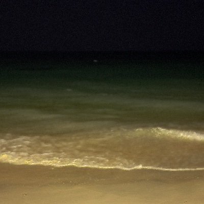 tv8k6's profile picture. 